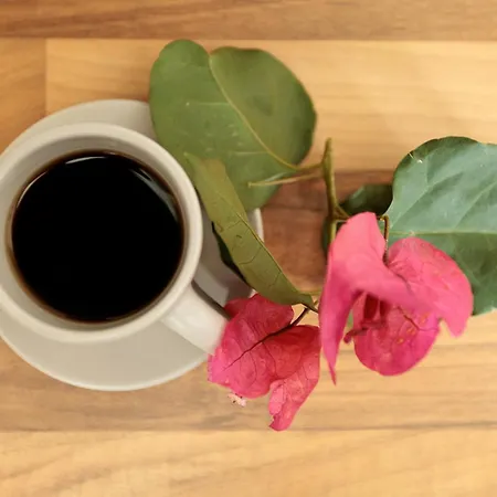 9 Muses Naxos Kastrákion