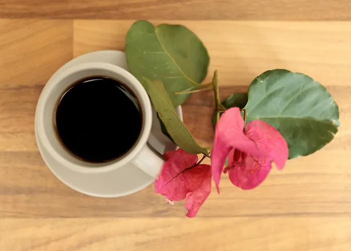 9 Muses Naxos Kastrákion